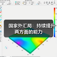 国家外汇局:持续提升两方面的能力(图4) 国家外汇局:持续提升两方面的能力(图4)
