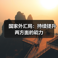 国家外汇局:持续提升两方面的能力(图2) 国家外汇局:持续提升两方面的能力(图2)