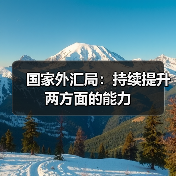国家外汇局:持续提升两方面的能力(图3) 国家外汇局:持续提升两方面的能力(图3)