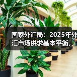 国家外汇局：2025年外汇市场供求基本平衡，预期总体平稳（图2）