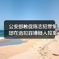 公安部敦促陈志犯罪集团在逃犯罪嫌疑人投案自首(图2) 公安部敦促陈志犯罪集团在逃犯罪嫌疑人投案自首(图2)