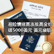 避险情绪高涨推高金价破5000美元 美元疲软通胀加剧(图1) 避险情绪高涨推高金价破5000美元 美元疲软通胀加剧(图1)