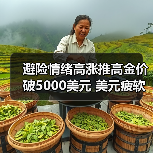 避险情绪高涨推高金价破5000美元 美元疲软通胀加剧(图2) 避险情绪高涨推高金价破5000美元 美元疲软通胀加剧(图2)