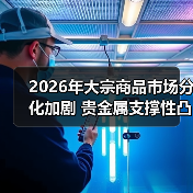 2026年大宗商品市场分化加剧 贵金属支撑性凸显引关注(图4) 2026年大宗商品市场分化加剧 贵金属支撑性凸显引关注(图4)