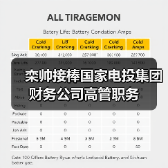 栾帅接棒国家电投集团财务公司高管职务（图2）