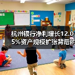 杭州银行净利增长12.05%资产规模扩张背后的秘密（图4）