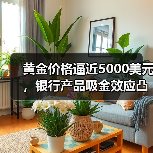 黄金价格逼近5000美元,银行产品吸金效应凸显(图2) 黄金价格逼近5000美元,银行产品吸金效应凸显(图2)