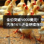 金价突破5000美元！年内涨16%还会继续涨吗？（图3）