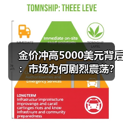 金价冲高5000美元背后：市场为何剧烈震荡？（图2）