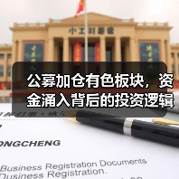 公募加仓有色板块,资金涌入背后的投资逻辑是什么?(图2) 公募加仓有色板块,资金涌入背后的投资逻辑是什么?(图2)