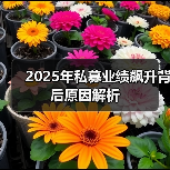 2025年私募业绩飙升背后原因解析（图2）