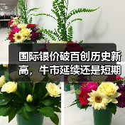 国际银价破百创历史新高,牛市延续还是短期狂欢?(图2) 国际银价破百创历史新高,牛市延续还是短期狂欢?(图2)