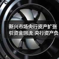 新兴市场央行资产扩张引资金回流 央行资产负债表分化加剧(图3) 新兴市场央行资产扩张引资金回流 央行资产负债表分化加剧(图3)
