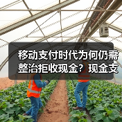 移动支付时代为何仍需整治拒收现金?现金支付不可替代的深层原因(图3) 移动支付时代为何仍需整治拒收现金?现金支付不可替代的深层原因(图3)