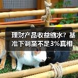 理财产品收益缩水？基准下调至不足3%真相（图2）