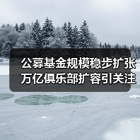 公募基金规模稳步扩张 万亿俱乐部扩容引关注（图4）