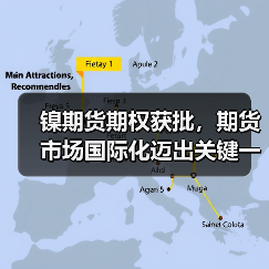镍期货期权获批,期货市场国际化迈出关键一步(图3) 镍期货期权获批,期货市场国际化迈出关键一步(图3)