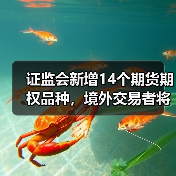 证监会新增14个期货期权品种,境外交易者将如何参与?(图2) 证监会新增14个期货期权品种,境外交易者将如何参与?(图2)