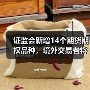 证监会新增14个期货期权品种,境外交易者将如何参与?(图4) 证监会新增14个期货期权品种,境外交易者将如何参与?(图4)