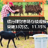 银行理财市场存续规模突破33万亿,11.15%增长背后有哪些机遇?(图4) 银行理财市场存续规模突破33万亿,11.15%增长背后有哪些机遇?(图4)