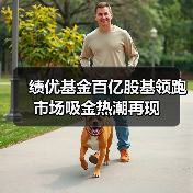 绩优基金百亿股基领跑 市场吸金热潮再现(图1) 绩优基金百亿股基领跑 市场吸金热潮再现(图1)
