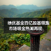 绩优基金百亿股基领跑 市场吸金热潮再现(图4) 绩优基金百亿股基领跑 市场吸金热潮再现(图4)