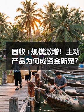 固收+规模激增!主动产品为何成资金新宠?(图4) 固收+规模激增!主动产品为何成资金新宠?(图4)