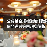 公募基金规模激增 腰部黑马逆袭突围现象解析(图4) 公募基金规模激增 腰部黑马逆袭突围现象解析(图4)