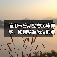 信用卡分期贴息免申即享,如何精准激活消费?(图3) 信用卡分期贴息免申即享,如何精准激活消费?(图3)