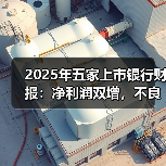 2025年五家上市银行财报:净利润双增,不良率持续改善(图2) 2025年五家上市银行财报:净利润双增,不良率持续改善(图2)