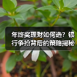 年终奖理财如何选？银行争抢背后的策略揭秘（图3）