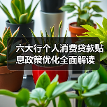 六大行个人消费贷款贴息政策优化全面解读（图4）