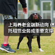 上海养老金融新动向 信托租赁业务成重要支撑（图1）