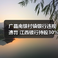 广昌南银村镇银行违规遭罚 江西银行持股30%引关注（图3）