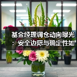 基金经理调仓动向曝光：安全边际与确定性如何布局？（图4）