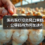医药基金爆发式增长 投资机会如何布局？