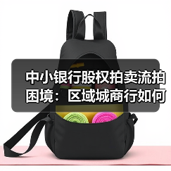 中小银行股权拍卖流拍困境：区域城商行如何破局突围？（图4）