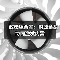 政策组合拳：财政金融协同激发内需（图1）