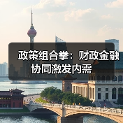 政策组合拳：财政金融协同激发内需（图4）