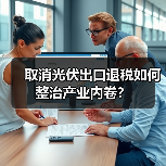 取消光伏出口退税如何整治产业内卷？（图4）