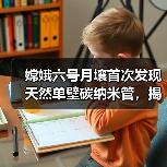 嫦娥六号月壤首次发现天然单壁碳纳米管，揭示月球背面地质新线索（图4）
