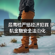 最高检严惩经济犯罪 护航金融安全法治化（图4）