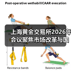 上海黄金交易所2026年会议聚焦市场改革与国际化布局（图1）