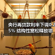 央行再贷款利率下调0.25% 结构性宽松释放哪些信号？（图3）
