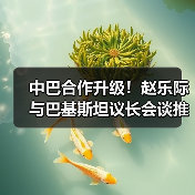 中巴合作升级！赵乐际与巴基斯坦议长会谈推进命运共同体（图3）