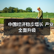 中国经济稳步增长 产业全面升级（图1）