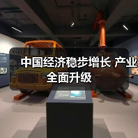 中国经济稳步增长 产业全面升级（图4）