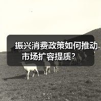 振兴消费政策如何推动市场扩容提质？（图3）