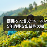 居民收入增长5%!2025年消费支出结构大揭秘(图3) 居民收入增长5%!2025年消费支出结构大揭秘(图3)