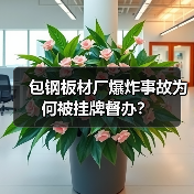 包钢板材厂爆炸事故为何被挂牌督办？（图4）